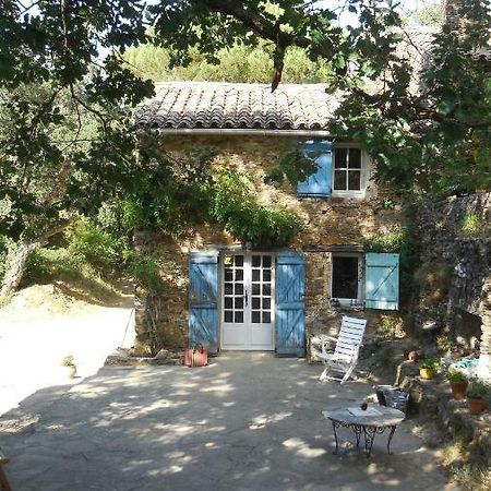 Villa La Bergerie à La Garde-Freinet Extérieur photo