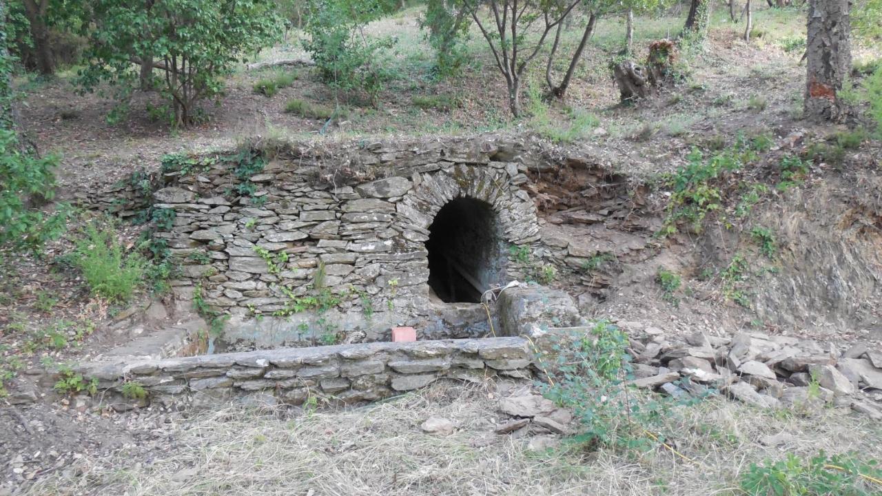 Villa La Bergerie à La Garde-Freinet Extérieur photo
