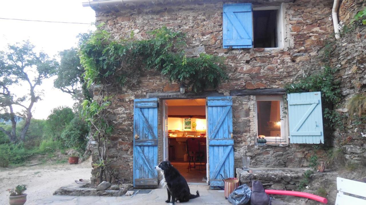 Villa La Bergerie à La Garde-Freinet Extérieur photo